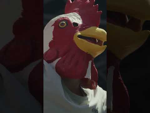 Yo lo sigo a River porque lo llevo en el corazón. 