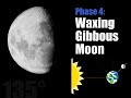 moon phases