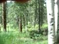 Colorado - Vacaction Video