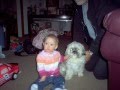 Shih Tzu video