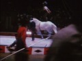 Walden - Jonas Mekas (Notes on the circus)