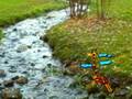 videos de Finch Arboretum