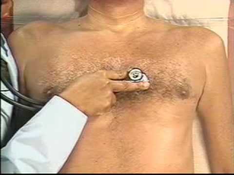 how to perform apical pulse