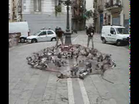Así controlan la población de palomas en España