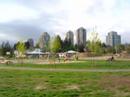 New Park