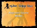Example beginners class