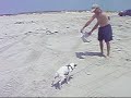 Captain's day on the Beach