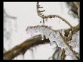 Afrontar la escasez del agua 1 (versión íntegra)