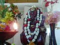 A prayer to Lord Vinayaka originally sung by Seerkali Govindarajan.  வினாயகனே வினை தீர்ப்பவனே    வேழமுகத்தோனே ஞால முதல்வனே    (வினாயகனே)    குணானிதியே குருவே சரணம்    குறைகள் களைய இதுவே தருணம்    (வினாயகனே)    உமாபதியே உலகம் என்றாய்    ஒரு சுற்றினிலே வலமும் வந்தாய்    கண நாதனே மாங்கனியை உண்டாய்    கதிர் வேலவனின் கருத்தில் நின்றாய்    (வினாயகனே)MORE INFORMATION IN THE BLOGhttp://ceebrospark.blogspot.comPlease do pray for Universal Welfareby invoking this song every morning daily. Vigneswara is the Only Deity so called since he is the REMOVER OF ALL OBSTACLES.Pray to Him and get Blessed