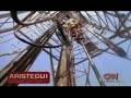 ¿el tesoro es vuestro? petrobras desmiente spots!  2/2 