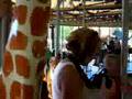 aT THE zOO