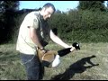 Gimpson and the Goose Gimpson and the Goose