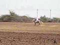 KATHIAWARI breed Horse
