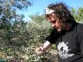 videos de andre amaro olive adventures and princess spons