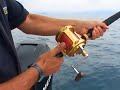 Avec pescafishing.com : S�riole au vif