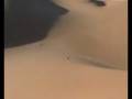 videos de www.elbaeumberto.com Sahara Libico, Duna di Wan Casa 2