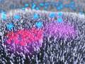 Measuring turnover of Lipid Rafts with cholera toxin - Dr Othon Gervasio - 3D Scientific Animation