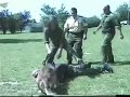 Friolzheim Jungschar Freizeit 05 , Polizeihunde Vorführung