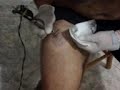 FAGUNDES NA PELE