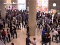 Flash Mob De West Coast Swing - 28 Mai 2011 - Carrousel Du Louvre, Paris, France - Vidéo Officielle