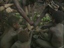 Vanuatu Travel Doc Part 06