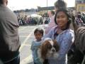 2009 Ballaghaderreen St. Patrick's Day Parade