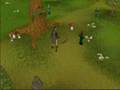 hunter guide 99