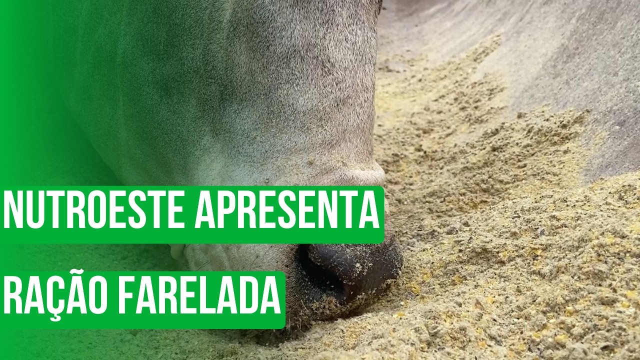 Nutroeste apresenta ração farelada