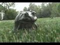 RANA HISTERICA - El Rellano