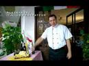 singapore-national-day-2007-video.html