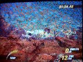 Motor Storm Crashes