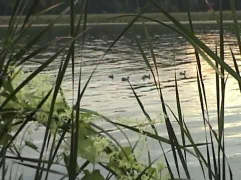 Fwm Txug Ib Tsoom XF (NNNTN Hmong Christian Song)