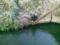 knowlesy Goes for a swim in -5 conditions Part 1