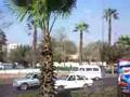 Count the vw campers lol!
