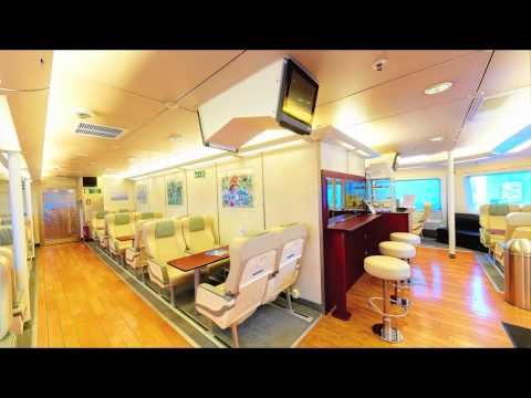 Bajaj+pulsar+220+speed+lines