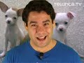 Inventos para tus mascotas | Telúrica 693