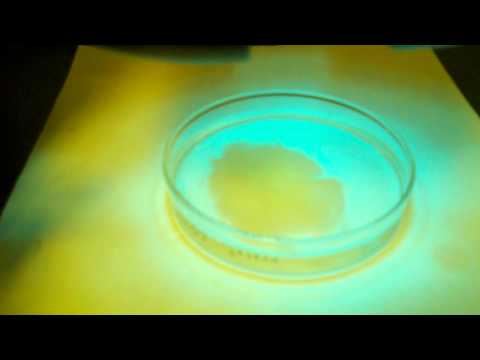 how to dissolve eosin