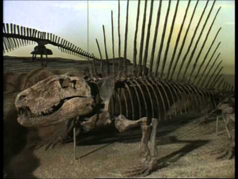 Paleoworld- Tale Of A Sail (Part 1)
