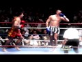 「IQHL」Peter Aerts - King of K-1