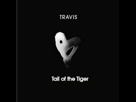 ( Tailed Tiger