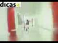videos de suomy11