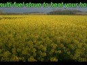 What is biomass?