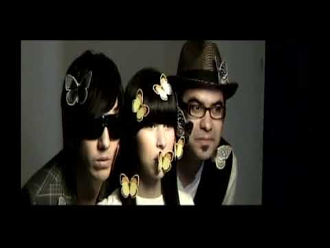 Ver Video