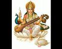 S. Balachander - genius on veena - raag Hamsanandhi