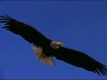 old motivational video made to promote teamwork at cisco.  funny part at the beginning.  notice the tongue in cheek reference to bad motivational posters with rowers and eagles.  most people who saw this never really got the contrast between hokey corporate mottos with the rugby theme.  sad commentary on corporate culture.  the best scene of the video was cut with the cisco tatoo on the top of someone's ass.