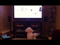 The Bark Side: Max Loves Doggie Commercials