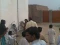 paki one