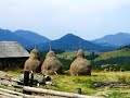 Magyar �lmok