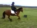 jumpin snoop.. stirrupless (3 tyres)