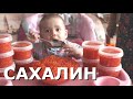 https://www.youtube.com/watch?v=2bwqwUKOnho